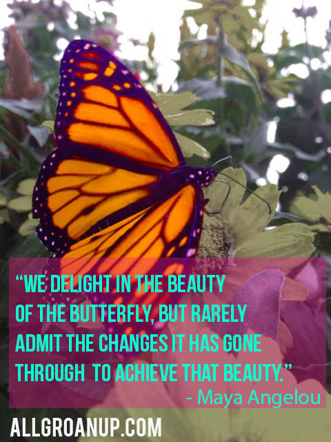 Maya Angelou Quote - The Changes of the Butterfly