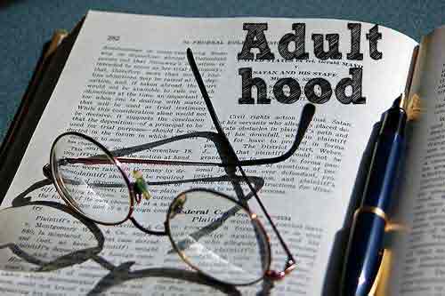 Where is the Adulthood Instruction Manual?