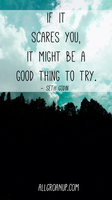 if it scares you, it might be a good thing to try. - Seth Godin